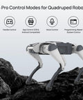 Lite 3 Basic AI Quadruped Robot Platform For Robotics Developers And Researchers Featuring Dope Mobility And AI Driven Motion Control For Algorithm Testing And Real World Robotic Application Development, side view on rocks