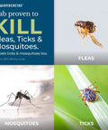 All Natural Flea And Tick Yard And Garden Spray Concentrate With Essential Oils To Kill, Control, And Prevent Fleas, Ticks, Mosquitoes, And Other Insects Safe Around Pets, Plants, And Kids 16 Oz - image showing fleas, ticks, and mosquitoes.
