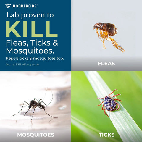 All Natural Flea And Tick Yard And Garden Spray Concentrate With Essential Oils To Kill, Control, And Prevent Fleas, Ticks, Mosquitoes, And Other Insects Safe Around Pets, Plants, And Kids 16 Oz - image showing fleas, ticks, and mosquitoes.