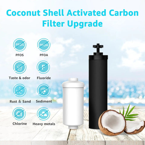 Outdoor-Ready Black Water Filter Replacement For Berkey And Purewell Systems With PF-2 Fluoride Filters And BB9-2 Black Filters