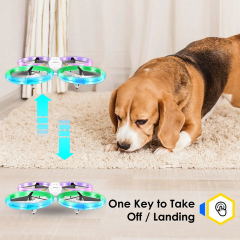 Kids RC Drone with LED Lights for Beginners flies near a curious dog indoors, showcasing auto takeoff/landing feature.