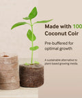 72 Coconut Coir Seed Starter Pellets Kit With Humidity Dome And Watertight Tray 35mm Peat Free Pellets shown with a sprouting seedling