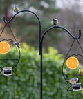 Two Oriole Bird Feeders Set With Orange Fruit Holder And Grape Jelly Grass, Outdoor Hanging Feeders For Baltimore Oriole, mounted on metal hooks with birds in a garden setting.