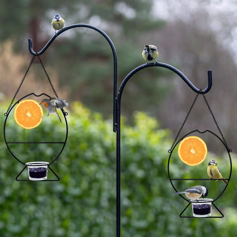 Two Oriole Bird Feeders Set With Orange Fruit Holder And Grape Jelly Grass, Outdoor Hanging Feeders For Baltimore Oriole, mounted on metal hooks with birds in a garden setting.