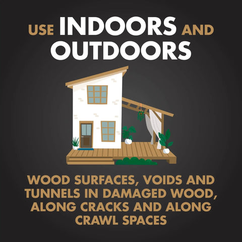 Graphic for Powerful Termite Killing Foam For Indoor And Outdoor Use 16 Ounces, highlighting use on wood surfaces and voids.