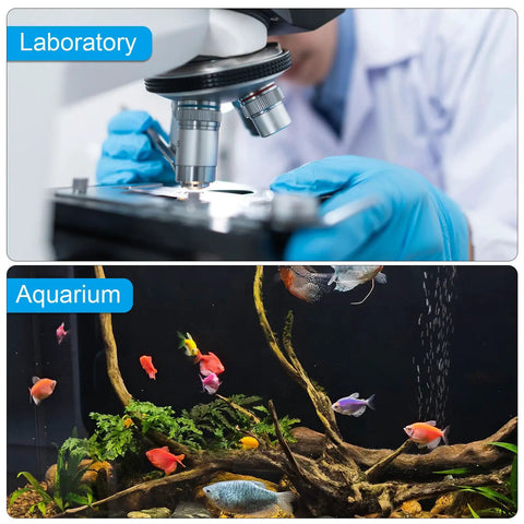 Laboratory microscope with gloved hands and aquarium with colorful fish and plants