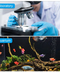 Scientist using a microscope in a laboratory and an aquarium with colorful fish.