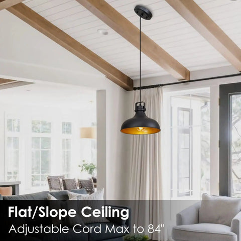 Black Farmhouse Pendant Lights Matte Finish Industrial Vintage Dome Hanging Light Fixtures over a living room area