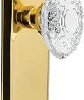 New York Plate Surface Mounted Polished Brass Door Pull Set For Interior Doors with Lead Free Crystal Backplates