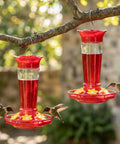 Outdoor Hummingbird Feeder 2 Pack Ant And Bee Proof Clear 10 Ounce With 6 Flower Shaped Ports hanging from a tree.