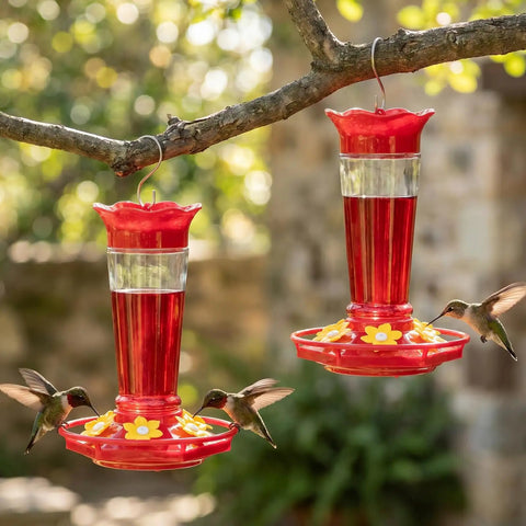 Outdoor Hummingbird Feeder 2 Pack Ant And Bee Proof Clear 10 Ounce With 6 Flower Shaped Ports hanging from a tree.
