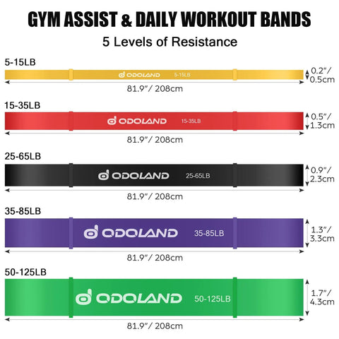 5 Pack Pull Up Assist Bands Kit With Door Anchor And Handles, Rugged Resistance Bands For Home Workouts, Powerlifting And Mobility, Five Color Coded Levels From Light To Heavy, Plus A Handy eGuide
