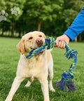 Dog playing tug-of-war with Four Pack Heavy Duty Dog Rope Toys For Aggressive Chewers, 100 Percent Cotton, in a park