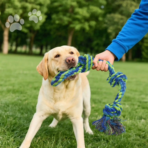 Dog playing tug-of-war with Four Pack Heavy Duty Dog Rope Toys For Aggressive Chewers, 100 Percent Cotton, in a park