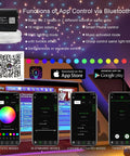 App control features of 20W Dual Head Fiber Optic Lights Kit With RGBW Twinkle Heads, showing remote color modes and sound activation.