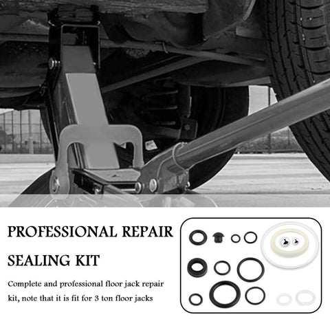 Sixteen Piece Hydraulic Jack Seal Kit for Three Ton Floor Jacks with O Ring Seals and Oil Plug displayed beside car lift