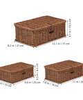 Three Piece Rectangular Woven Storage Bins With Lids Feature Slick Plastic Rattan Construction displayed in various sizes.