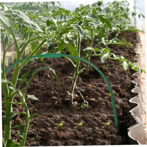 Garden Hoops Kit For Greenhouse Frame All In One Set With Durable Arch Racks Plant Cover Rack Frost Protection Insulation Plug And Play Setup Tunnel Hoop System For Year Round Growing