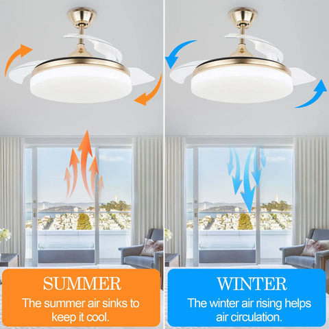 Illustration showing reversible fan blades for seasonal air circulation, part of a ceiling fan with adjustable settings.