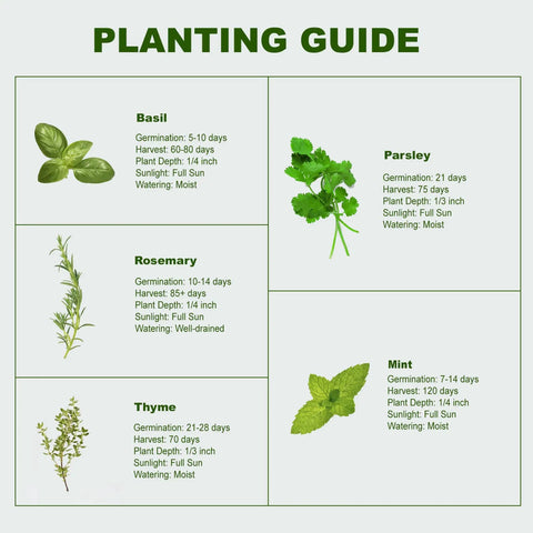 Planting guide for Indoor Herb Garden Starter Kit: basil, parsley, rosemary, thyme, mint with germination and harvest details.