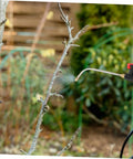 Extended Curved Sprayer Wand For Garden And Farm Use With Tough Stainless Steel Handle spraying tree branch