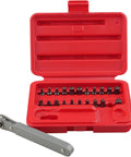Ultra Low Profile Screwdriver Bit Set With Mini Ratchet Wrench For One Quarter Inch Drive, Twenty Three Piece, S2 Steel Bits In A Compact Blow Molded Case Handy For Tight Spaces And Auto Electronics And Furniture Repairs