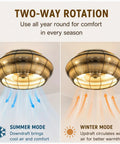 19” Boho Caged Ceiling Fan with Lights and Remote,6-Speed Flush Mount showcasing summer and winter rotation modes.