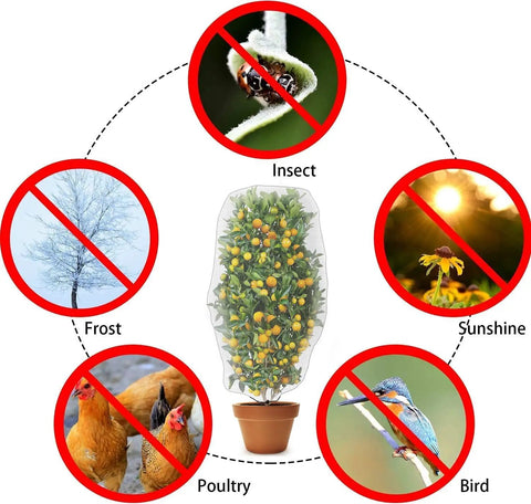 Diagram showing 2 Pack Garden Insect Barrier Netting With Drawstring 4.9 By 3.2 Feet Plant Cover protecting plant from pests and elements.