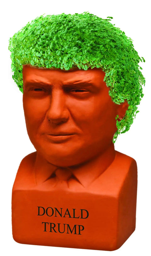 Presidential Chia Seed Planter Kit With Seed Pack, Donald Trump Edition, Easy To Grow Decor For Home Or Office, Terra Cotta Pot