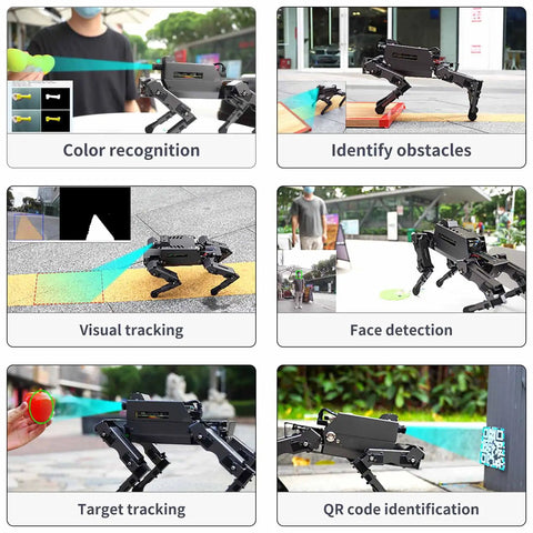 Badass AI Powered Bionic Robot Dog With Raspberry Pi 5 And 12 Joints For Python Coding Enthusiasts Featuring OpenCV Face Color Tracking and Hella Impressive Embedded Intelligence Tech demonstrating color recognition and obstacle identification.