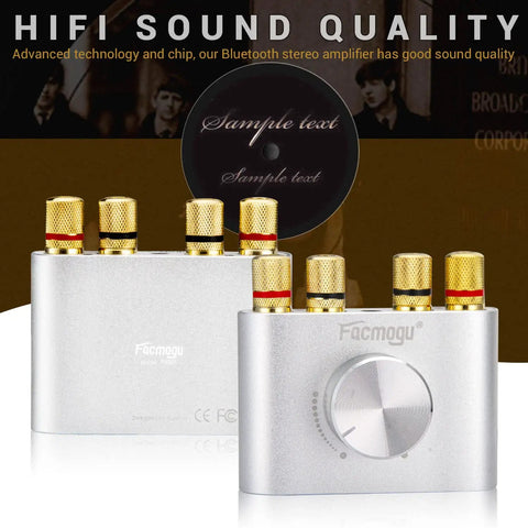 F900S 80W X 2 Bluetooth 5.0 Mini Amplifier For Home Audio Hi Fi Stereo Digital Amp with AUX USB BT Inputs Silver Finish
