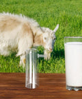 Portable Goat Milking Cup Replacement Part With Plastic Milking Liner Lightweight Hygienic For Dairy Operations And Field Use Ideal For Mobile Milking Across Farms And Barns, clear plastic liner shown