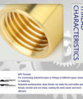 Half Inch NPT Brass Pipe Fitting Kit 12 Pack With Six Male Hex Nipples And Six Female Hex Couplings Thread Adapters For Plumbing Projects Built To Last Pro Grade Durable Corrosion Resistant DIY Ready thread close-up