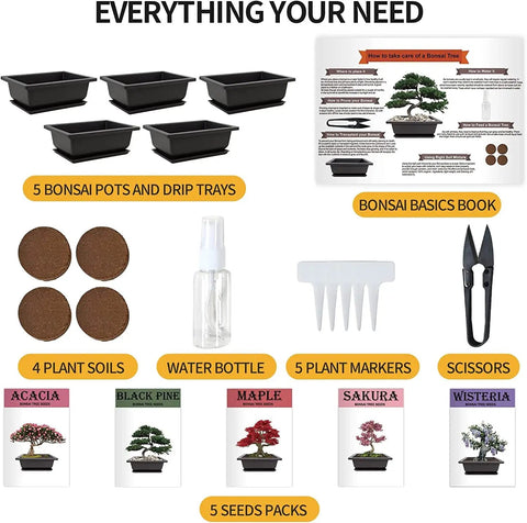 Five Piece Bonsai Tree Kit With Self Watering Pots For Indoor Growth, Complete Plant Tools and Seeds, Beginner Friendly