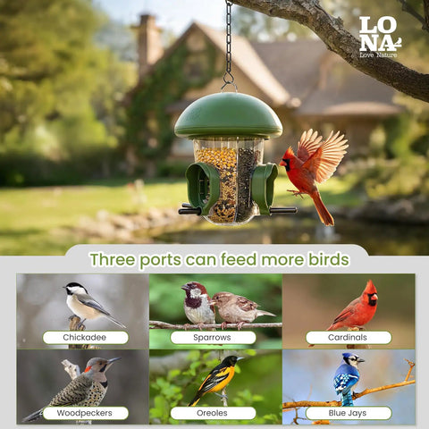 Outdoor Bird Feeder With Three Compartments And Three Feeding Ports, Weatherproof Dome, Large Capacity, in backyard