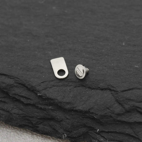 Close-up of a stainless steel watch clamp tab and screw from 10 Piece Watch Movement Clamp Tab And Screw Set For ETA 2824 2834 2836 2846 Movements