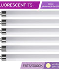6 Pack T5 Fluorescent Bulbs F8T5 WW 8W 12 Inch Warm White 3000K Long Life Lamps arranged in a row