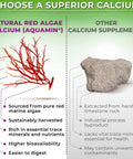 Comparison of natural red algae calcium and other calcium supplements, highlighting benefits of Plant Based Calcium 600mg Vegan Calcium Magnesium Zinc D3 With Vitamin K2 Organic Turmeric For Strong Bones And Muscles Immune Support For Women And Men 90 Count.