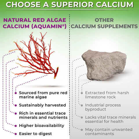 Comparison of natural red algae calcium and other calcium supplements, highlighting benefits of Plant Based Calcium 600mg Vegan Calcium Magnesium Zinc D3 With Vitamin K2 Organic Turmeric For Strong Bones And Muscles Immune Support For Women And Men 90 Count.
