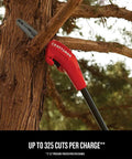 Cordless Pole Saw With 14 Foot Reach, 8 Inch Bar, 4.0Ah Battery And Charger Included, Angled Head For Precise Cuts in action