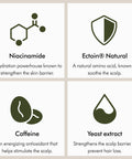 Image with diagrams of Niacinamide, Ectoin Natural, Caffeine, and Yeast extract benefits in Amino11 Leave-In Scalp Bubble Treatment.