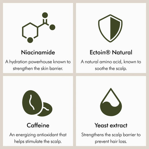 Image with diagrams of Niacinamide, Ectoin Natural, Caffeine, and Yeast extract benefits in Amino11 Leave-In Scalp Bubble Treatment.
