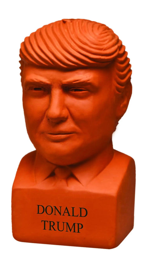 Presidential Chia Seed Planter Kit With Seed Pack, Donald Trump Edition, Easy To Grow Decor For Home Or Office, Terra Cotta Pot