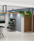 Rock Solid Heavy Duty Ceiling Mount Floating Shelf Brackets Black Steel Industrial Pipe Wall Support Kit 2 Pack installed with plants.