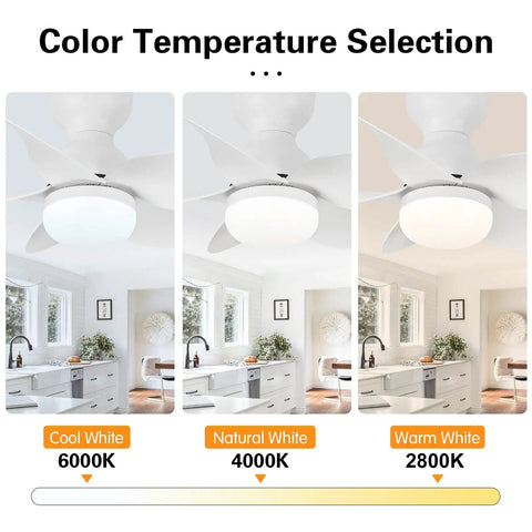 Dope 24 Inch Flush Mount Ceiling Fan With Light Kit showing cool, natural, and warm white LED color temperatures in kitchen setting