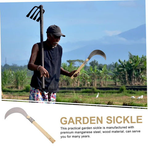 Man holding long handle manganese steel grass sickle for weeding and harvesting garden care with non slip wooden handle.