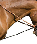 Elastic Horse Neck Stretcher Rope, Adjustable Poll Strap Training Aid For Groundwork shown in use during lunging