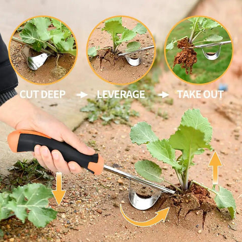 3 Pack Weed Puller Tool Set With Stainless Steel Weeders And Rubber Handles For Easy Garden Cleanup showing V Shape Weeder in use