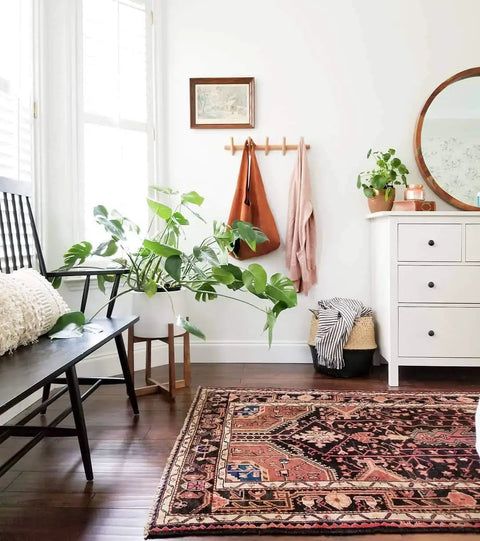 Wall Mounted Coat And Hat Rack With Five Hooks In Beautiful Wood Finish for Entryway with plants beside a dresser