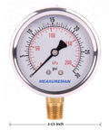 Glycerin Filled Two And A Half Inch Pressure Gauge Dual Scale 0 To 30 Psi And KPa 304 Stainless Steel Case One Quarter Inch NPT Lower Mount